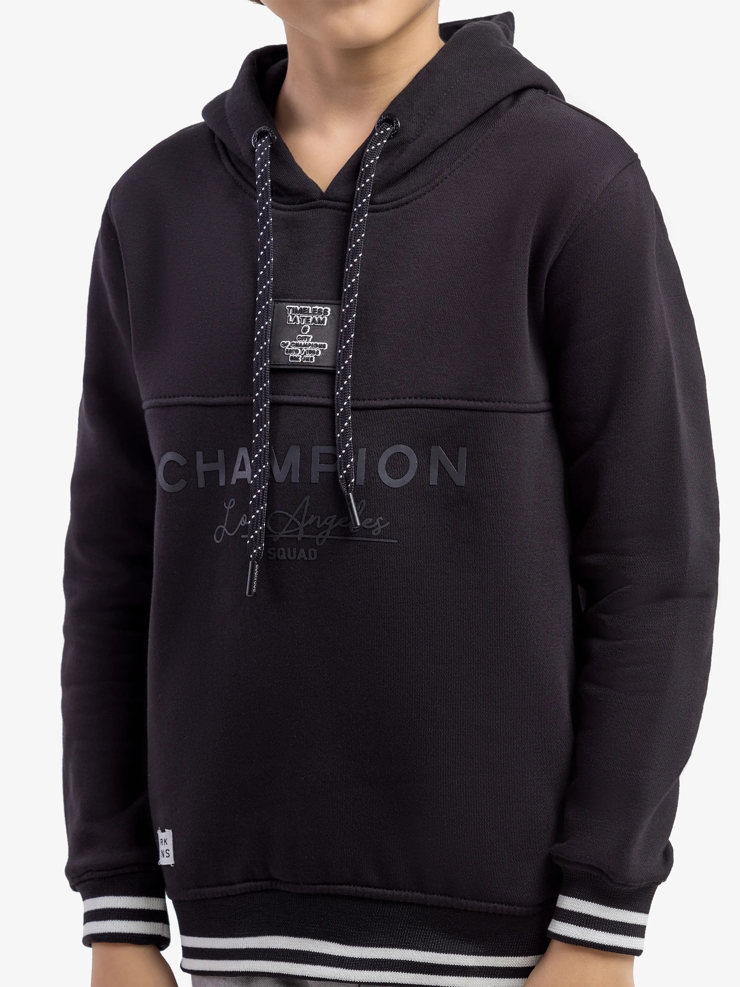 Champion Hoodie - EBTH5-010 - Image 2